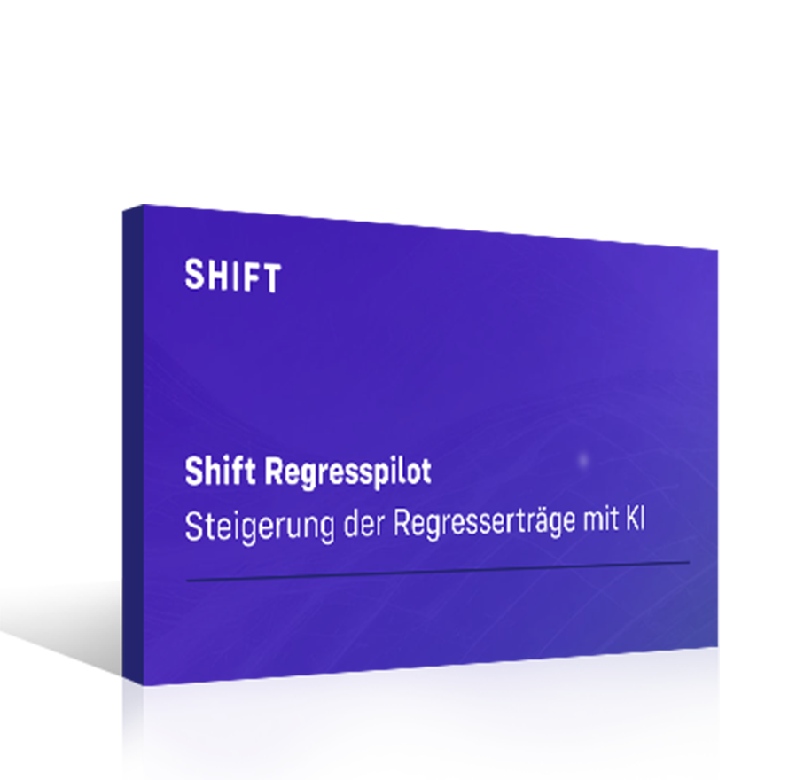 251113-P&C-Subro-eBook-DE