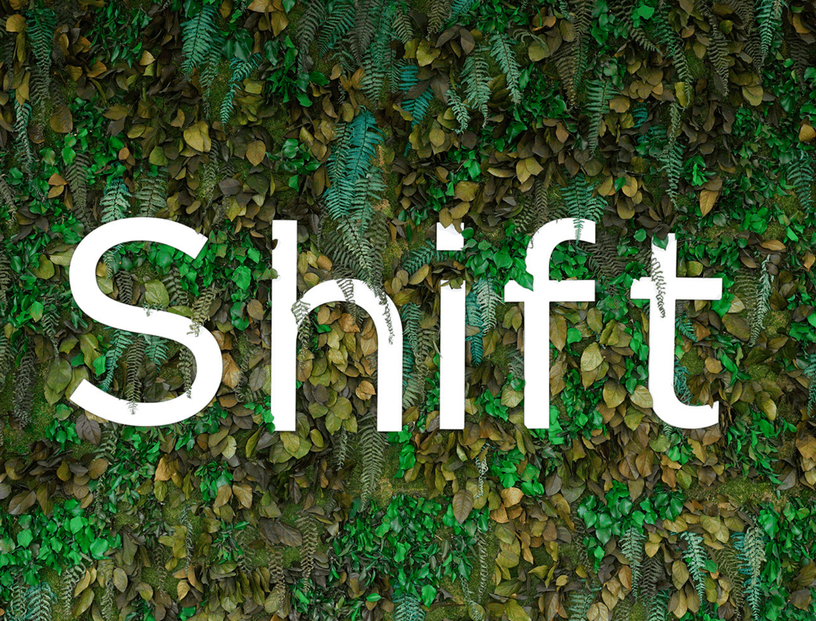 Shift Technology confirma una ronda de inversión D de 220 millones de dólares dirigida por Advent International